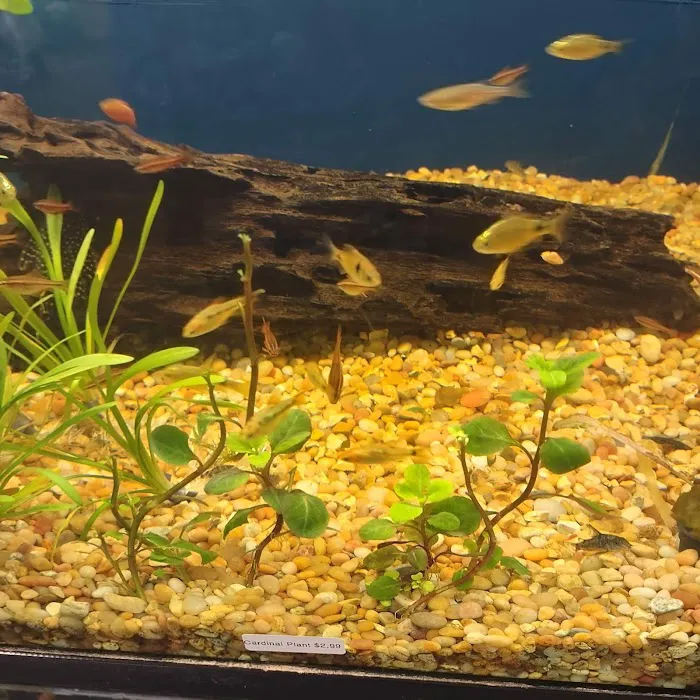 TK Aquatics 6