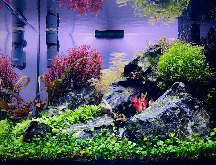 TK Aquatics 4