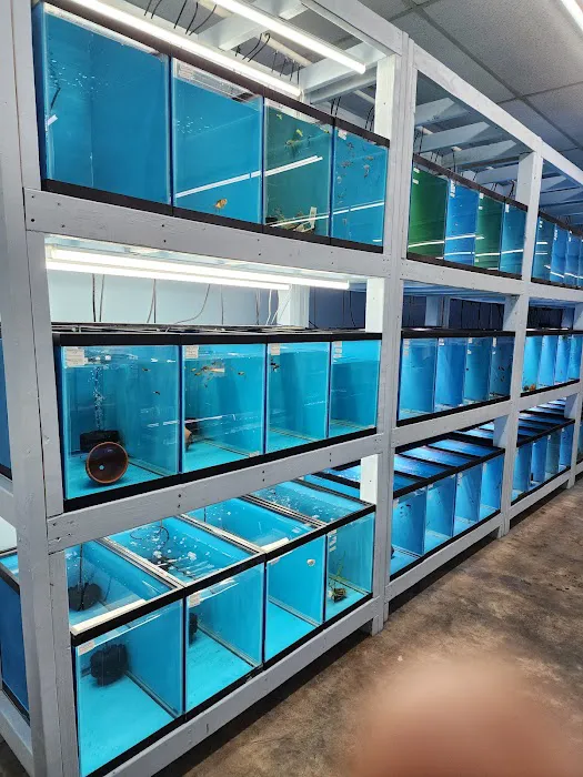 TK Aquatics 10
