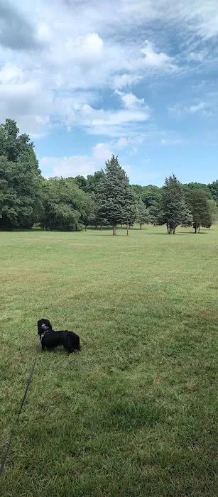 West Hills Small Dog Run 2