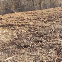 West Hills Small Dog Run ico