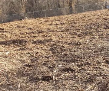 West Hills Small Dog Run