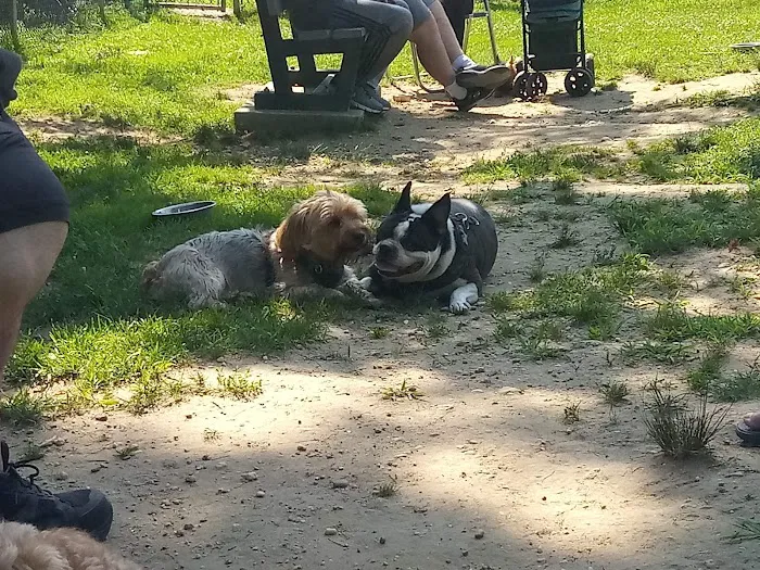 West Hills Small Dog Run 7