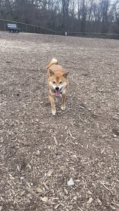 West Hills Small Dog Run 9