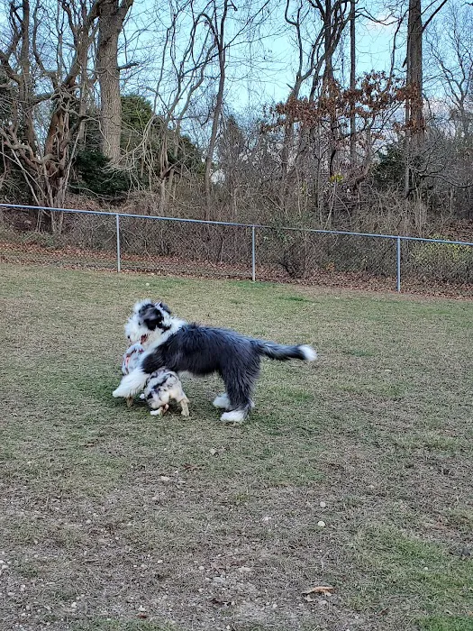 West Hills Small Dog Run 8