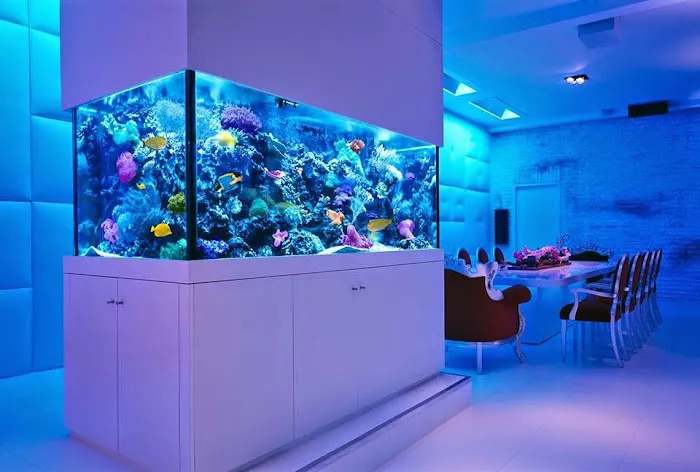 Ultimate Reefs & Aquariums 6