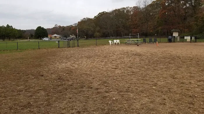 West Hills Big Dog Run 1