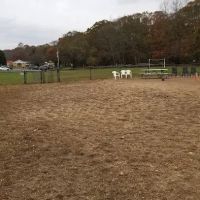 West Hills Big Dog Run ico