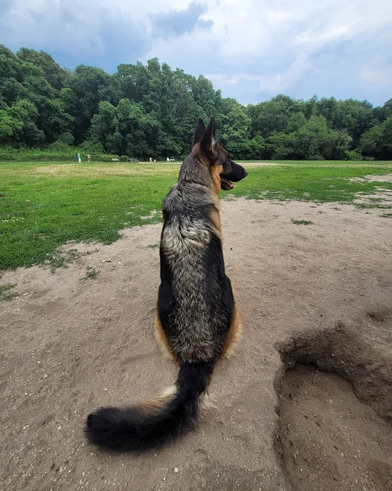 West Hills Big Dog Run 4