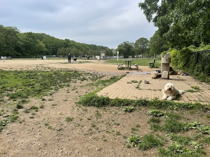 West Hills Big Dog Run 3