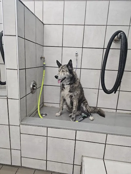 Pet Supplies Plus Tulsa (Eton Square) 8