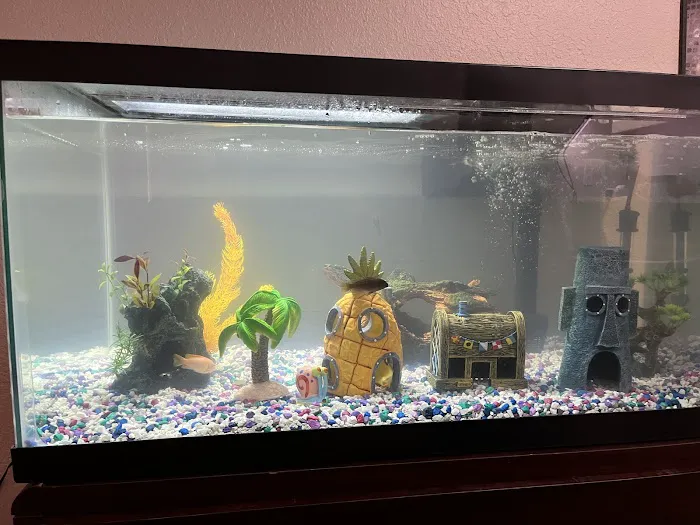 Pet Supplies Plus Tulsa (Eton Square) 7