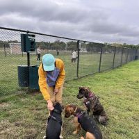 Bark Park - off leash dog park ico