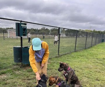 Bark Park - off leash dog park