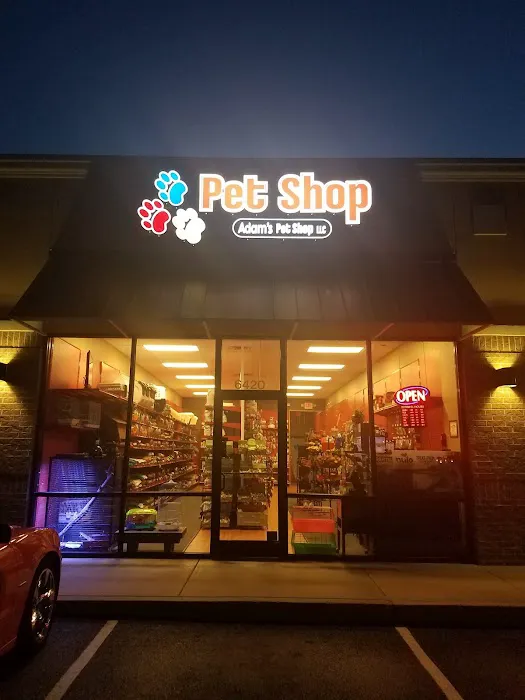 Adam's Pet Shop 1