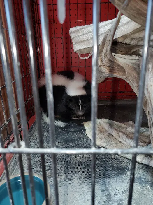 Adam's Pet Shop 7