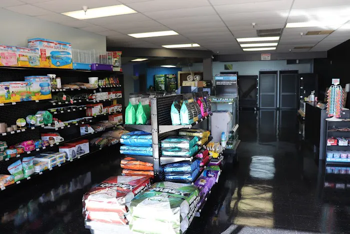 Adam's Pet Shop 6