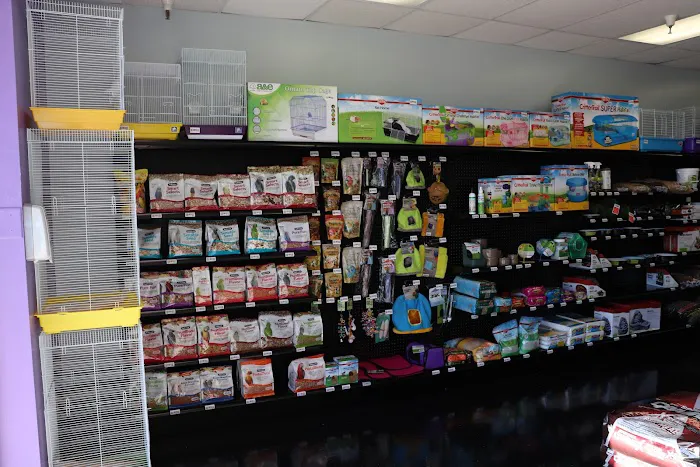 Adam's Pet Shop 9