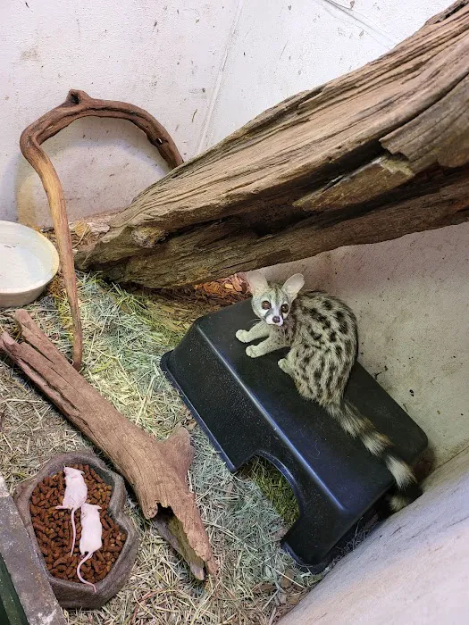Adam's Pet Shop 10