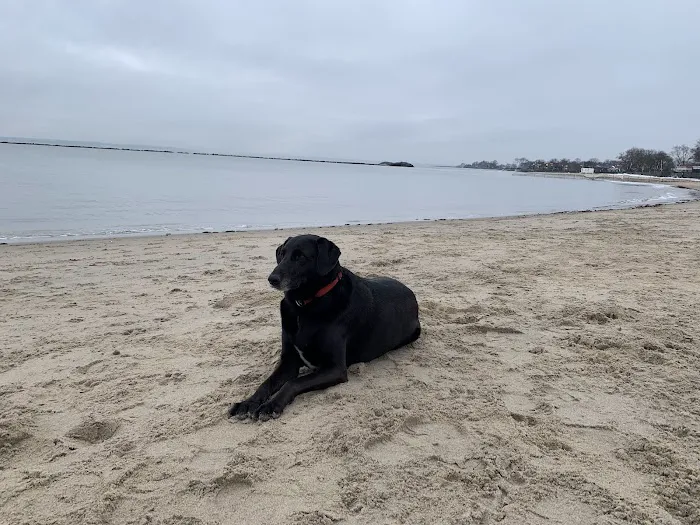 Dog beach parking 3
