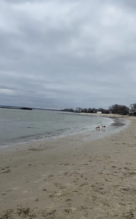 Dog beach parking 1