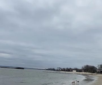Dog beach parking