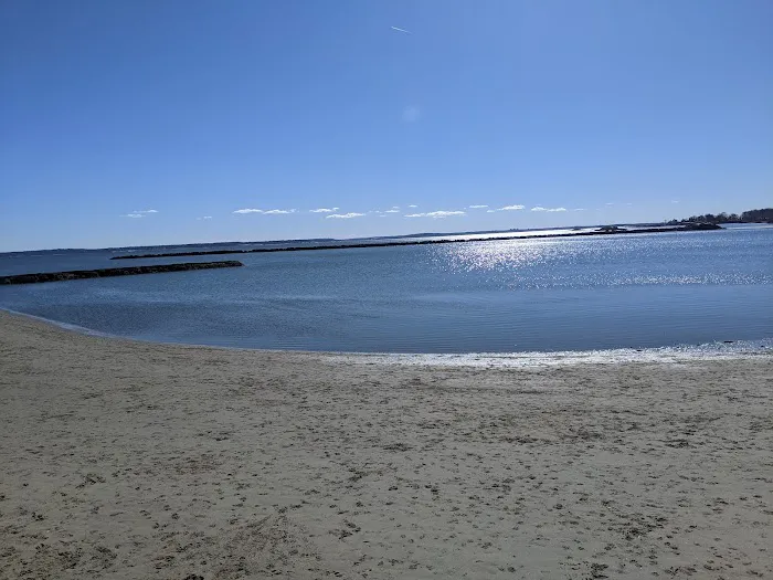 Dog beach parking 4