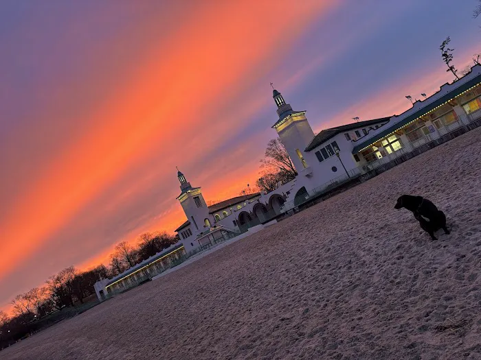 Dog beach parking 10
