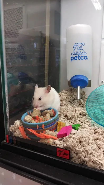 Petco 2