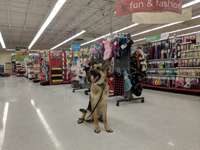 Petco 9