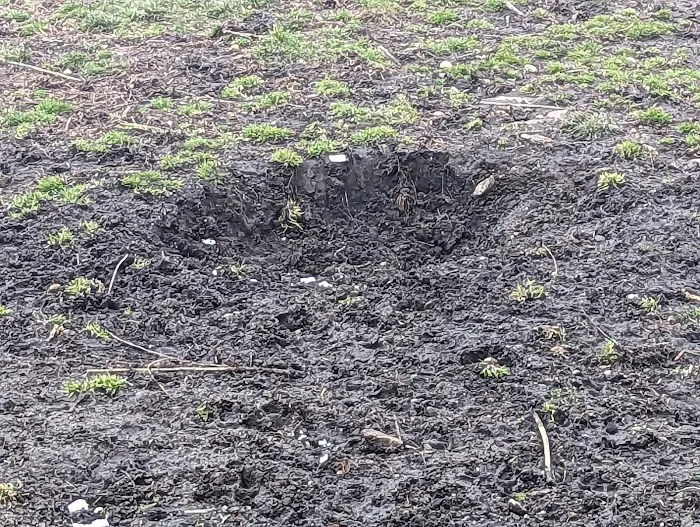 Harrison Park 6