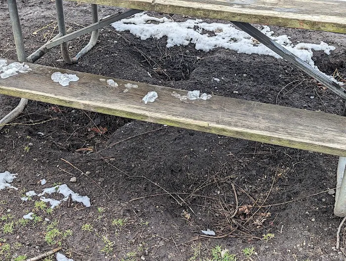 Harrison Park 10