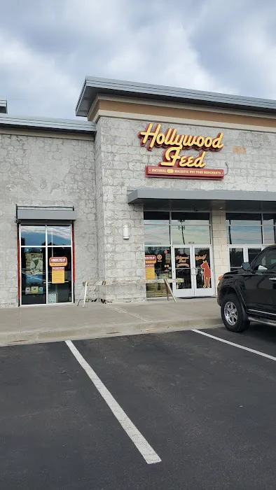 Hollywood Feed 2