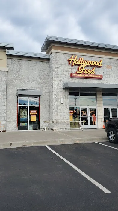 Hollywood Feed 5