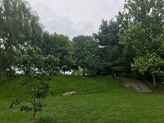 Grass Island Dog Park 2