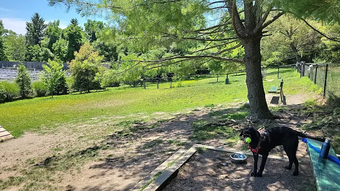 Grass Island Dog Park 9