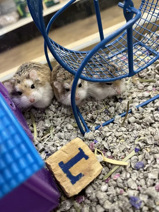 Petland Tulsa 4