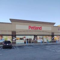 Petland Tulsa ico