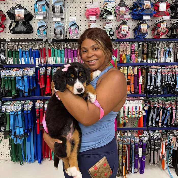 Petland Tulsa 10