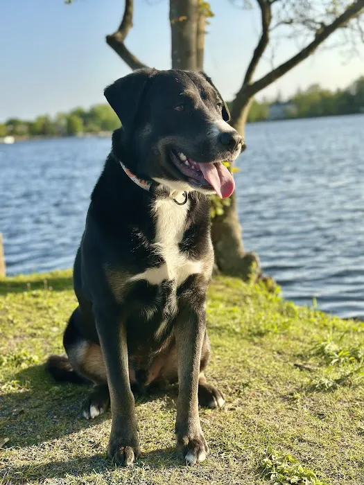 Babylon Village Dog Park (Argyle Lake) 1