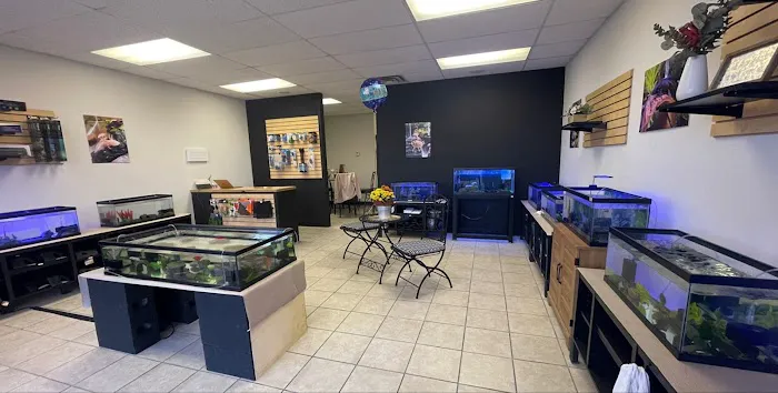 Axolotls Tulsa 10