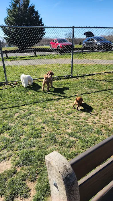 Thompson Park Dog Park 2
