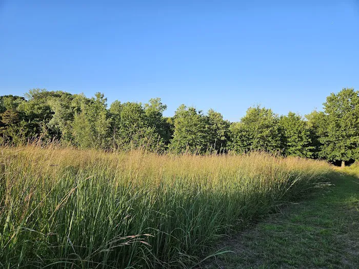 Thompson Park Dog Park 5