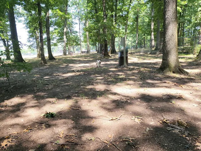 Thompson Park Dog Park 6