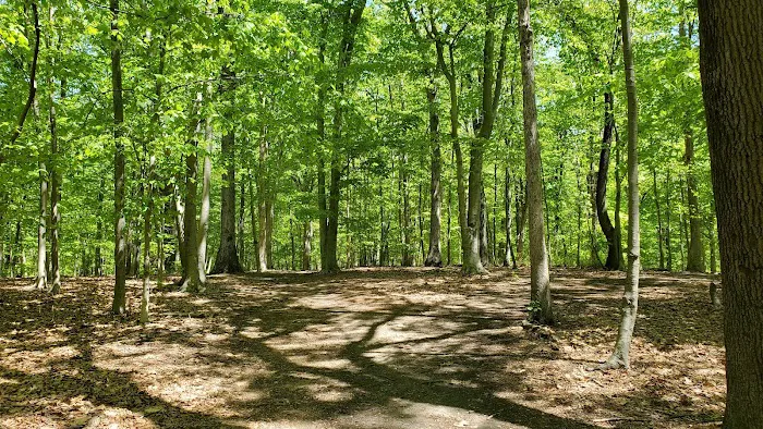 Thompson Park Dog Park 8