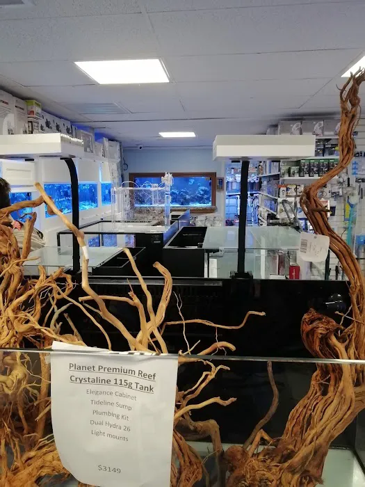 Aquarium Customs, INC. 2