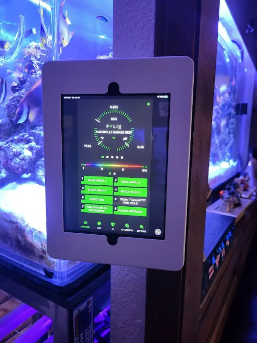 Aquarium Customs, INC. 1