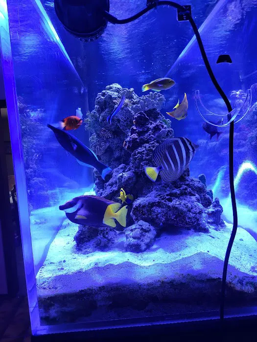 Aquarium Customs, INC. 10