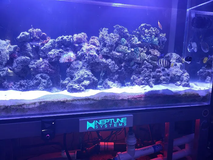 Aquarium Customs, INC. 8