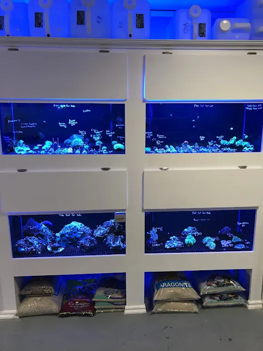 Aquarium Customs, INC. 6